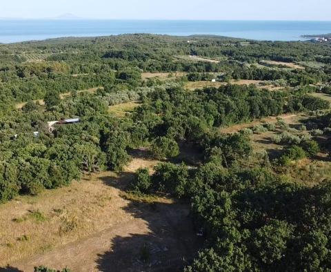 Fantastic estate in Peruški, Marčana, for sale - pic 11