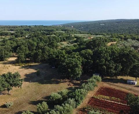 Fantastic estate in Peruški, Marčana, for sale - pic 13