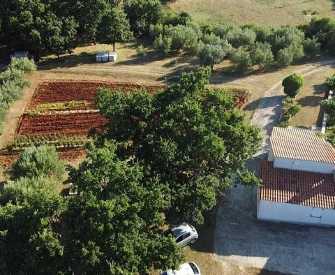 Fantastic estate in Peruški, Marčana, for sale - pic 17