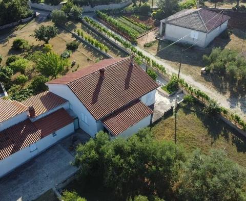 Fantastic estate in Peruški, Marčana, for sale - pic 18