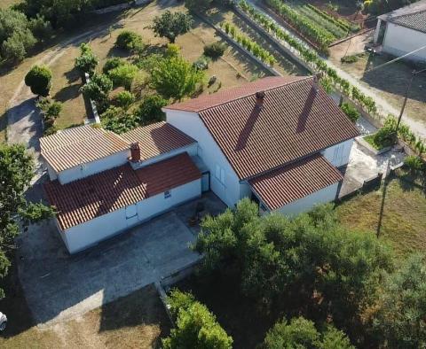 Fantastic estate in Peruški, Marčana, for sale - pic 19