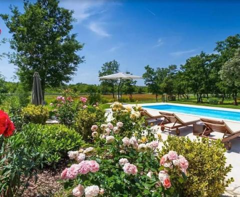 Magnificent estate in Rovinj area, 3 hectares of land - pic 4