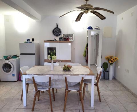 Detached house with 2 apartments in Marcana - pic 2