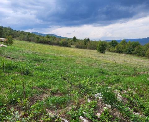 Terrain constructible + agricole à Motovun, à vendre - pic 2