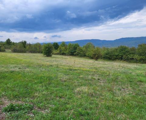 Terrain constructible + agricole à Motovun, à vendre - pic 4