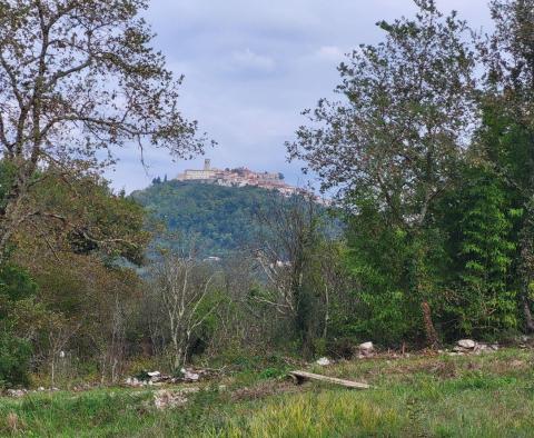 Terrain constructible + agricole à Motovun, à vendre - pic 6
