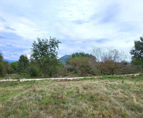Terrain constructible + agricole à Motovun, à vendre - pic 7