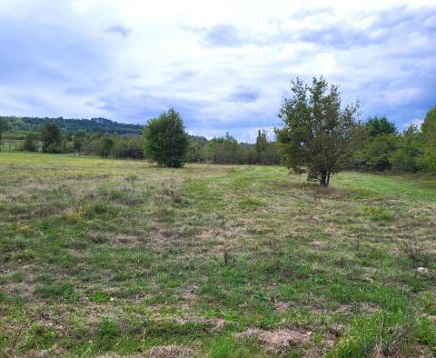 Terrain constructible + agricole à Motovun, à vendre - pic 8