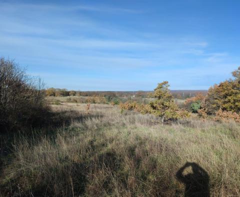 Spacious land of cca.1 hectare in Marcana area, for sale - pic 3