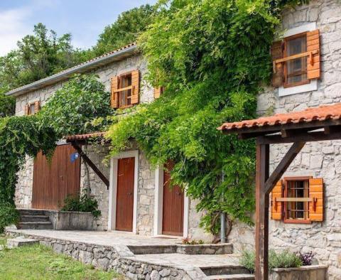 Eladó egy őshonos isztriai kőház Lupoglavban - pic 58