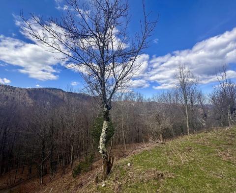 Schönes Winterhaus im Risnjak Nationalpark, zu verkaufen - foto 31