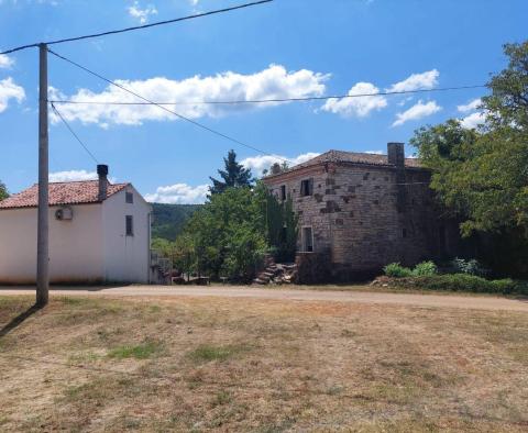 Two houses in Oprtalj,for sale - pic 4
