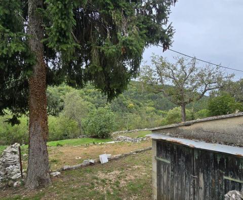 Two houses in Oprtalj,for sale - pic 41