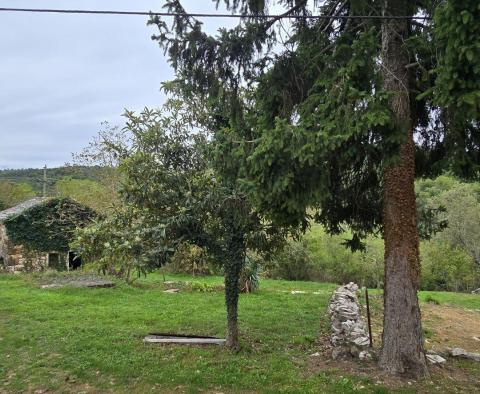 Two houses in Oprtalj,for sale - pic 42