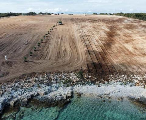 Großartiges Anwesen in erster Linie auf der Halbinsel Peljesac - foto 3