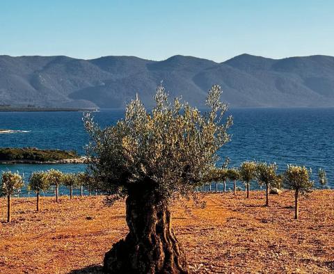 Großartiges Anwesen in erster Linie auf der Halbinsel Peljesac - foto 5