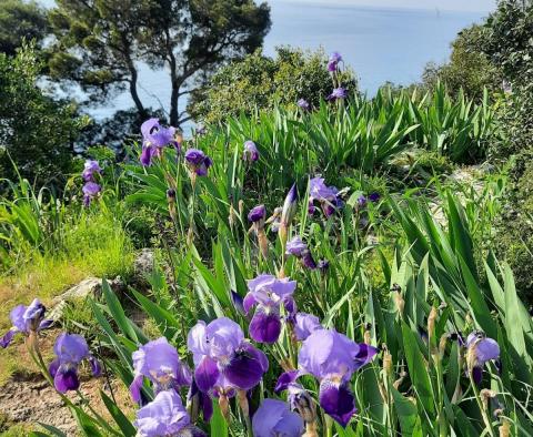 Appartement dans un immeuble neuf avec jardin à quelques pas de la plage de Rovinj - pic 10