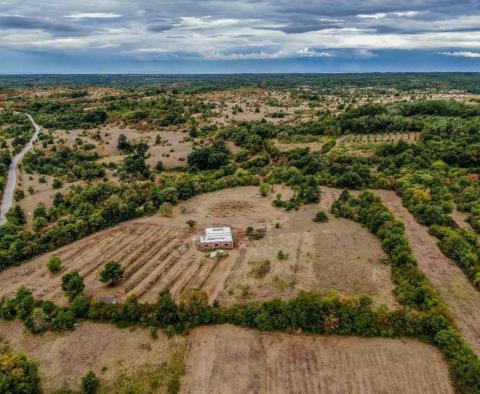 Magnifique domaine sur 14000 m² de terrain à Barban, à vendre ! - pic 3