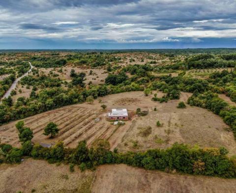 Magnifique domaine sur 14000 m² de terrain à Barban, à vendre ! - pic 7