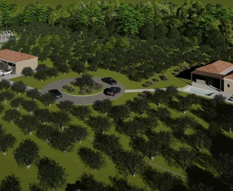 Magnifique domaine sur 14000 m² de terrain à Barban, à vendre ! - pic 20