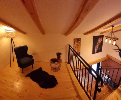 Deux maisons avec vue sur la mer après rénovation, Rijeka, à vendre - pic 44