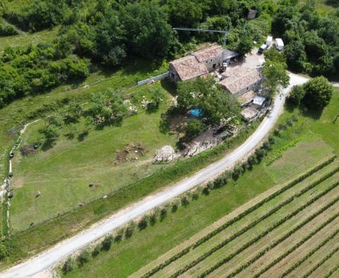 Traditionelles Anwesen in Cerovlje, zu verkaufen - foto 2