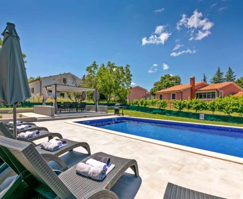 Charmante Villa in der Gegend von Labin, zu verkaufen  - foto 10