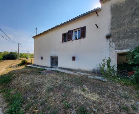 Estate in Pićan, for sale - pic 14