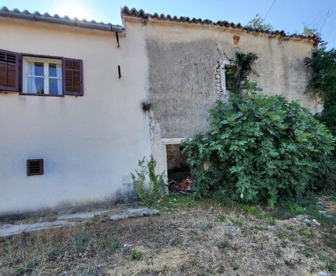 Estate in Pićan, for sale - pic 15