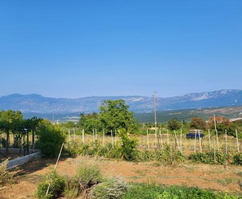 Estate in Pićan, for sale - pic 26