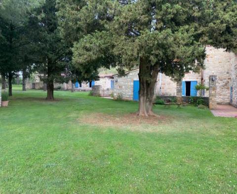 Duża posiadłość w Novigradzie, na działce o powierzchni 15.000 m2, na sprzedaż - pic 6