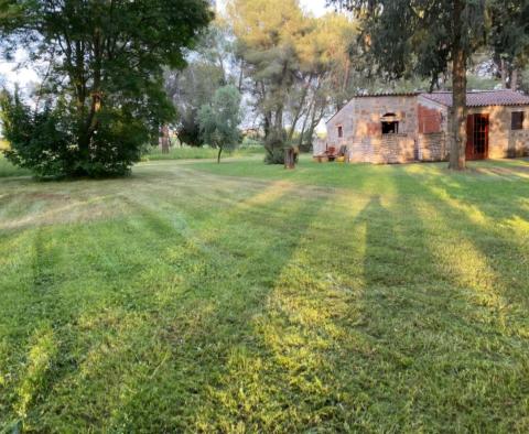 Duża posiadłość w Novigradzie, na działce o powierzchni 15.000 m2, na sprzedaż - pic 18