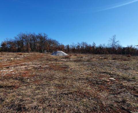 Eladó ingatlan Smoljanciban, Svetvinčenatban, 27.000 m2-en - pic 6