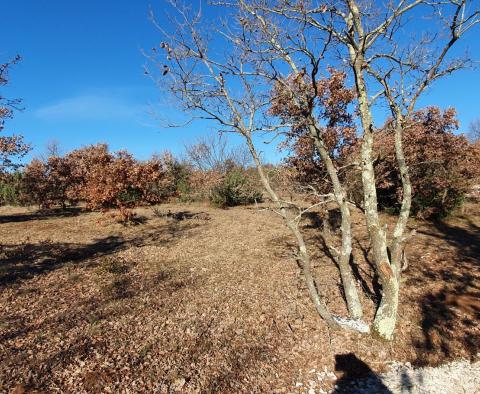 Eladó ingatlan Smoljanciban, Svetvinčenatban, 27.000 m2-en - pic 9