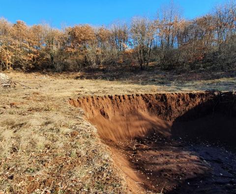Eladó ingatlan Smoljanciban, Svetvinčenatban, 27.000 m2-en - pic 15