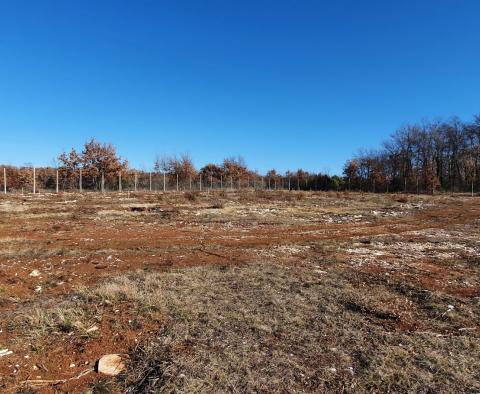 Eladó ingatlan Smoljanciban, Svetvinčenatban, 27.000 m2-en - pic 18