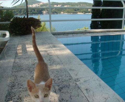 Einzigartige prächtige Villa mit Schwimmbad auf der ERSTEN LINIE des Meeres in der Nähe von Dubrovnik, JETZT ERMÄSSIGT! - foto 10