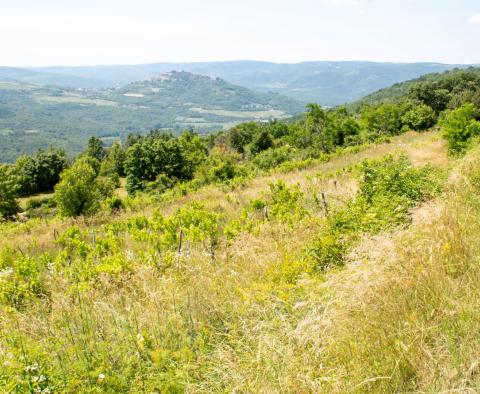 Grundstück in Motovun, zu verkaufen - foto 12