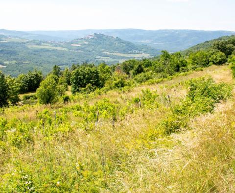 Grundstück in Motovun, zu verkaufen - foto 13