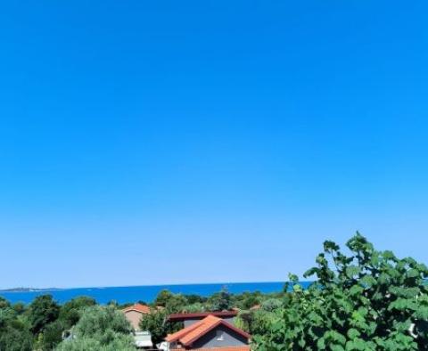 Maison jumelée à Peroj, Vodnjan, à 500 m de la mer, à vendre ! - pic 3