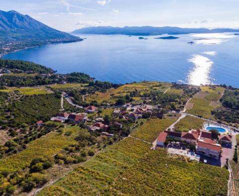Hôtel de mariage moderne en Croatie, péninsule de Peljesac avec vignobles autour ! - pic 3
