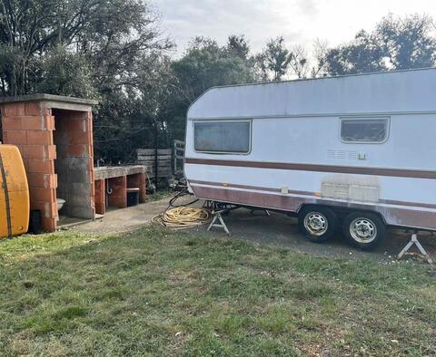 Gaj oliwny z 210 drzewami na wyspie Mali Lošinj, 200 m od morza, na sprzedaż - pic 6