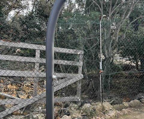 Gaj oliwny z 210 drzewami na wyspie Mali Lošinj, 200 m od morza, na sprzedaż - pic 9
