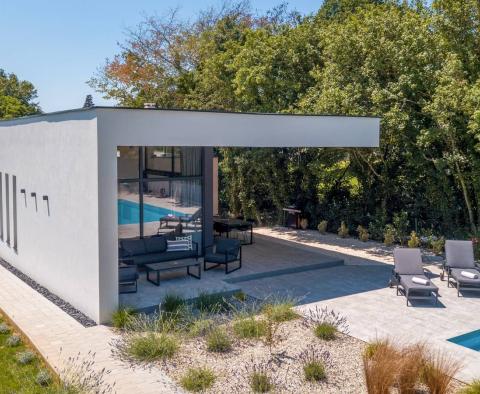 Modern villa with swimming pool located in a wonderful location in Svetvincenat, for sale - pic 5