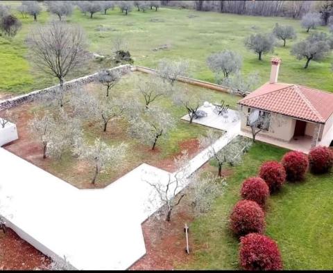 Stylish house in Galižana,Vodnjan, for sale - pic 35