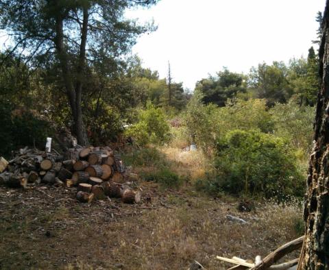 Großes städtisches Grundstück in Supetar, Insel Brac, 70 m vom Meer entfernt, zu verkaufen - foto 3