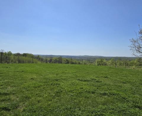 Zapierająca dech w piersiach panorama! Piękna willa w rejonie Motovun z pełną prywatnością, na sprzedaż! - pic 70