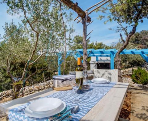 Three Provence-style stone houses on Mali Losinj, on 2,5 hectares of land, for sale - pic 20