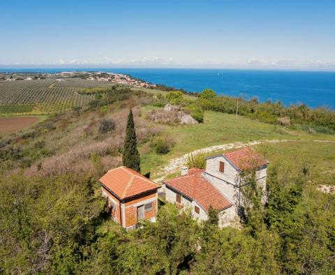 Фантастическое поместье в Красном Врху, Умаг, 400 м от моря, на продажу - фото 2