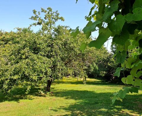Przestronna posiadłość w Zminj na 13743 m² działki, na sprzedaż - pic 20